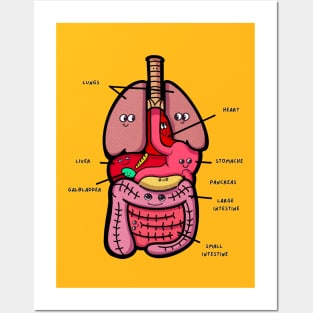 Anatomy Kids Kawaii cute design Posters and Art